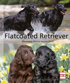 Buchcover Flatcoated Retriever | Rosemarie Wild | EAN 9783275018529 | ISBN 3-275-01852-3 | ISBN 978-3-275-01852-9