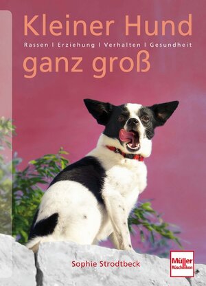 Buchcover Kleiner Hund ganz groß | Sophie Strodtbeck | EAN 9783275019106 | ISBN 3-275-01910-4 | ISBN 978-3-275-01910-6