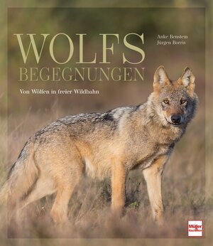 Buchcover Wolfsbegegnungen | Anke Benstem | EAN 9783275022168 | ISBN 3-275-02216-4 | ISBN 978-3-275-02216-8