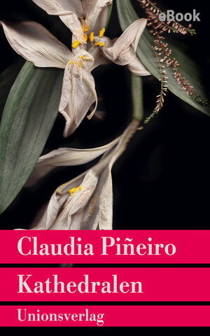 Buchcover Kathedralen | Claudia Piñeiro | EAN 9783293311060 | ISBN 3-293-31106-7 | ISBN 978-3-293-31106-0
