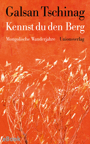 Buchcover Kennst du den Berg | Galsan Tschinag | EAN 9783293410213 | ISBN 3-293-41021-9 | ISBN 978-3-293-41021-3