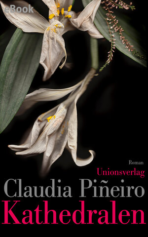 Buchcover Kathedralen | Claudia Piñeiro | EAN 9783293411067 | ISBN 3-293-41106-1 | ISBN 978-3-293-41106-7
