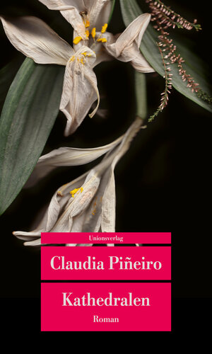 Buchcover Kathedralen | Claudia Piñeiro | EAN 9783293710191 | ISBN 3-293-71019-0 | ISBN 978-3-293-71019-1