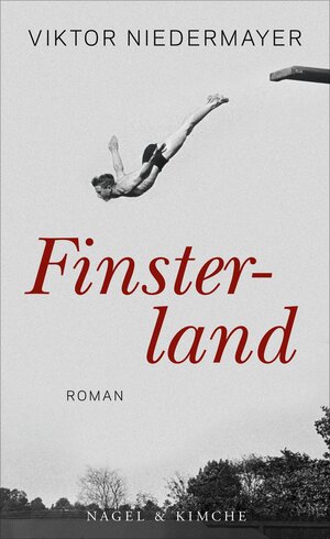 Buchcover Finsterland | Viktor Niedermayer | EAN 9783312006618 | ISBN 3-312-00661-9 | ISBN 978-3-312-00661-8