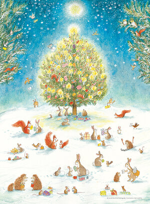 Buchcover Adventskalender - Wald-Weihnacht  | EAN 9783314016653 | ISBN 3-314-01665-4 | ISBN 978-3-314-01665-3