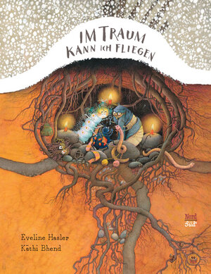Buchcover Im Traum kann ich fliegen | Eveline Hasler | EAN 9783314105425 | ISBN 3-314-10542-8 | ISBN 978-3-314-10542-5