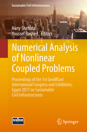 Buchcover Numerical Analysis of Nonlinear Coupled Problems | EAN 9783319619057 | ISBN 3-319-61905-5 | ISBN 978-3-319-61905-7