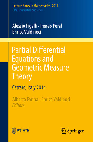 Buchcover Partial Differential Equations and Geometric Measure Theory | Alessio Figalli | EAN 9783319740416 | ISBN 3-319-74041-5 | ISBN 978-3-319-74041-6