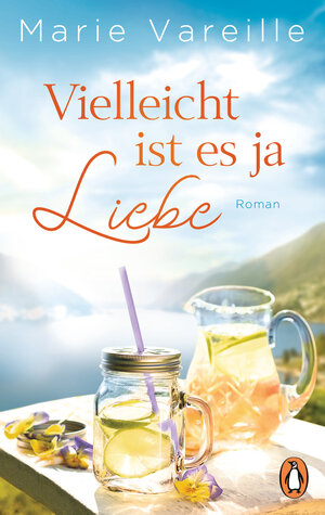 Buchcover Vielleicht ist es ja Liebe | Marie Vareille | EAN 9783328102564 | ISBN 3-328-10256-6 | ISBN 978-3-328-10256-4