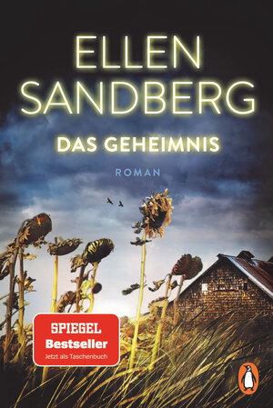 Buchcover Das Geheimnis | Ellen Sandberg | EAN 9783328107217 | ISBN 3-328-10721-5 | ISBN 978-3-328-10721-7