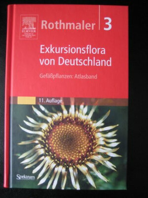 Buchcover Gefässpflanzen  | EAN 9783334609385 | ISBN 3-334-60938-3 | ISBN 978-3-334-60938-5