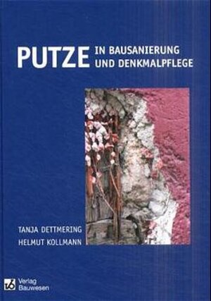 Putze für Bausanierung und Denkmalpflege: Ein praxisnahes Handbuch für Fachleute der Bauwerkserhaltung und Denkmalpflege