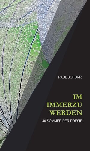 Buchcover IM IMMERZU WERDEN | Paul Schurr | EAN 9783347111219 | ISBN 3-347-11121-4 | ISBN 978-3-347-11121-9