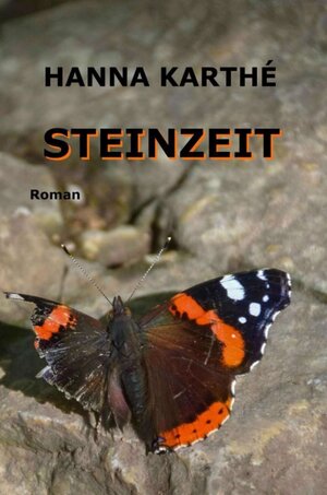 Buchcover Steinzeit | Hanna Karthé | EAN 9783347274310 | ISBN 3-347-27431-8 | ISBN 978-3-347-27431-0