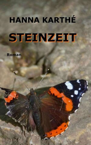 Buchcover Steinzeit | Hanna Karthé | EAN 9783347274327 | ISBN 3-347-27432-6 | ISBN 978-3-347-27432-7