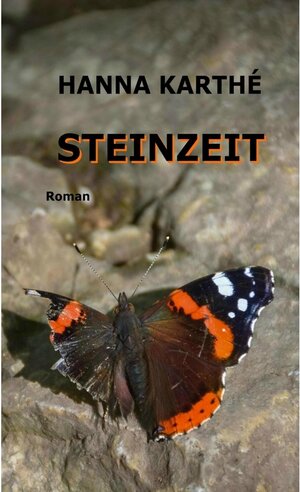 Buchcover Steinzeit / tredition | Hanna Karthé | EAN 9783347274334 | ISBN 3-347-27433-4 | ISBN 978-3-347-27433-4