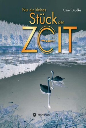 Buchcover Nur ein kleines Stück der Zeit | Oliver Grudke | EAN 9783347363311 | ISBN 3-347-36331-0 | ISBN 978-3-347-36331-1