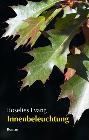 Buchcover Innenbeleuchtung | Roselies Evang | EAN 9783347368330 | ISBN 3-347-36833-9 | ISBN 978-3-347-36833-0