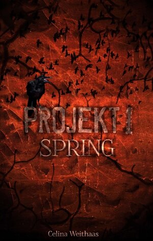 Buchcover Spring - Projekt I | Celina Weithaas | EAN 9783347389618 | ISBN 3-347-38961-1 | ISBN 978-3-347-38961-8