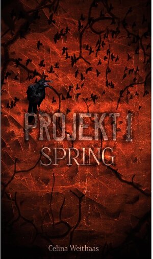 Buchcover Spring - Projekt I / tredition | Celina Weithaas | EAN 9783347389632 | ISBN 3-347-38963-8 | ISBN 978-3-347-38963-2