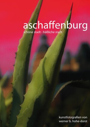 Buchcover Aschaffenburg | Werner Hohe-Dorst | EAN 9783347650947 | ISBN 3-347-65094-8 | ISBN 978-3-347-65094-7