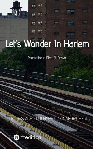 Buchcover Let's Wonder In Harlem | Ellias Aghili Dehnavi | EAN 9783347724877 | ISBN 3-347-72487-9 | ISBN 978-3-347-72487-7