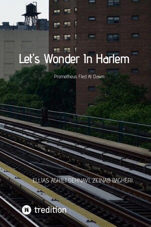 Buchcover Let's Wonder In Harlem | Ellias Aghili Dehnavi | EAN 9783347724884 | ISBN 3-347-72488-7 | ISBN 978-3-347-72488-4