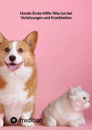 Buchcover Hunde-Erste-Hilfe: Was tun bei Verletzungen und Krankheiten | Moritz | EAN 9783347859111 | ISBN 3-347-85911-1 | ISBN 978-3-347-85911-1