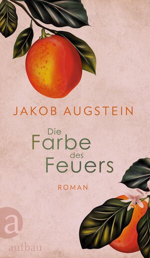 Buchcover Die Farbe des Feuers | Jakob Augstein | EAN 9783351042233 | ISBN 3-351-04223-X | ISBN 978-3-351-04223-3