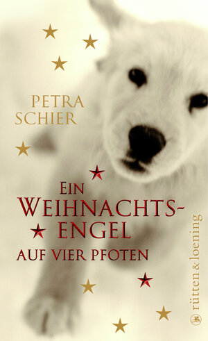 Buchcover Ein Weihnachtsengel auf vier Pfoten | Petra Schier | EAN 9783352007644 | ISBN 3-352-00764-0 | ISBN 978-3-352-00764-4