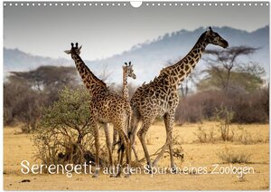 Buchcover Serengeti - auf den Spuren eines Zoologen (Wandkalender 2024 DIN A3 quer), CALVENDO Monatskalender | Jürgen Maaß | EAN 9783383003240 | ISBN 3-383-00324-8 | ISBN 978-3-383-00324-0