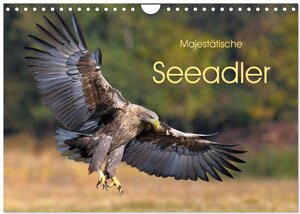 Buchcover Majestätische Seeadler (Wandkalender 2024 DIN A4 quer), CALVENDO Monatskalender | Elmar Weiss | EAN 9783383003394 | ISBN 3-383-00339-6 | ISBN 978-3-383-00339-4