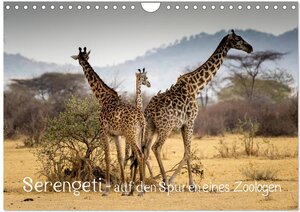 Buchcover Serengeti - auf den Spuren eines Zoologen (Wandkalender 2024 DIN A4 quer), CALVENDO Monatskalender | Jürgen Maaß | EAN 9783383003479 | ISBN 3-383-00347-7 | ISBN 978-3-383-00347-9