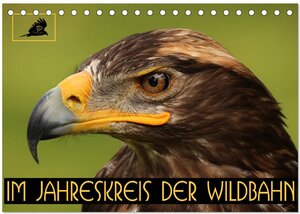 Buchcover Im Jahreskreis der Wildbahn (Tischkalender 2024 DIN A5 quer), CALVENDO Monatskalender | Dirk Stamm | EAN 9783383009778 | ISBN 3-383-00977-7 | ISBN 978-3-383-00977-8