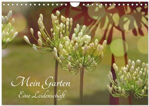 Buchcover Mein Garten Eine Leidenschaft (Wandkalender 2024 DIN A4 quer), CALVENDO Monatskalender | Renate Grobelny | EAN 9783383011658 | ISBN 3-383-01165-8 | ISBN 978-3-383-01165-8