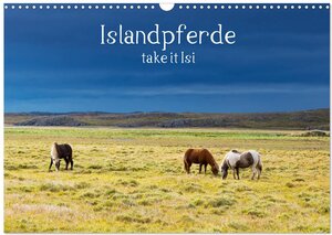 Buchcover Islandpferde take it Isi (Wandkalender 2024 DIN A3 quer), CALVENDO Monatskalender | Klaus Gerken | EAN 9783383045974 | ISBN 3-383-04597-8 | ISBN 978-3-383-04597-4