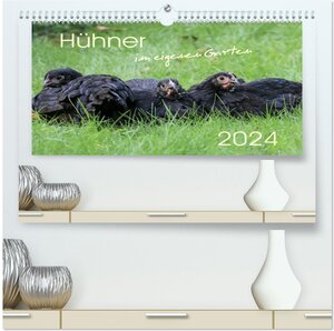 Buchcover Hühner im eigenen Garten (hochwertiger Premium Wandkalender 2024 DIN A2 quer), Kunstdruck in Hochglanz | Nicole Stephan | EAN 9783383194986 | ISBN 3-383-19498-1 | ISBN 978-3-383-19498-6
