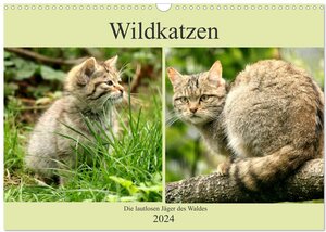 Buchcover Wildkatzen - Die lautlosen Jäger des Waldes (Wandkalender 2024 DIN A3 quer), CALVENDO Monatskalender | Arno Klatt | EAN 9783383199332 | ISBN 3-383-19933-9 | ISBN 978-3-383-19933-2