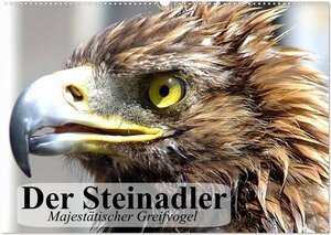 Buchcover Der Steinadler. Majestätischer Greifvogel (Wandkalender 2024 DIN A2 quer), CALVENDO Monatskalender | Elisabeth Stanzer | EAN 9783383298967 | ISBN 3-383-29896-5 | ISBN 978-3-383-29896-7