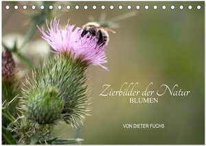 Buchcover Zierbilder der Natur BLUMEN (Tischkalender 2024 DIN A5 quer), CALVENDO Monatskalender | Dieter Fuchs | EAN 9783383357800 | ISBN 3-383-35780-5 | ISBN 978-3-383-35780-0