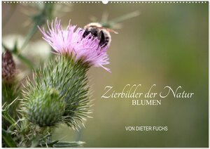 Buchcover Zierbilder der Natur BLUMEN (Wandkalender 2024 DIN A2 quer), CALVENDO Monatskalender | Dieter Fuchs | EAN 9783383359064 | ISBN 3-383-35906-9 | ISBN 978-3-383-35906-4