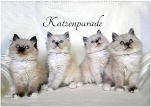 Buchcover Katzenparade (Wandkalender 2024 DIN A2 quer), CALVENDO Monatskalender | Jennifer Chrystal | EAN 9783383390661 | ISBN 3-383-39066-7 | ISBN 978-3-383-39066-1