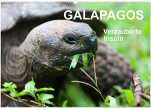 Buchcover Galapagos. Verzauberte Inseln (Wandkalender 2024 DIN A2 quer), CALVENDO Monatskalender | Sabine Reuke | EAN 9783383416989 | ISBN 3-383-41698-4 | ISBN 978-3-383-41698-9