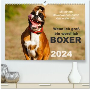 Buchcover Wenn ich groß bin werd' ich Boxer (hochwertiger Premium Wandkalender 2024 DIN A2 quer), Kunstdruck in Hochglanz | Kerstin Mielke | EAN 9783383501722 | ISBN 3-383-50172-8 | ISBN 978-3-383-50172-2