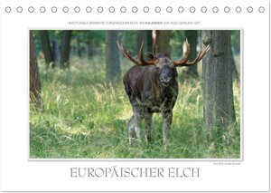 Buchcover Emotionale Momente: Europäischer Elch. / CH-Version (Tischkalender 2024 DIN A5 quer), CALVENDO Monatskalender | Ingo Gerlach GDT | EAN 9783383514241 | ISBN 3-383-51424-2 | ISBN 978-3-383-51424-1