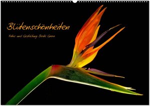 Buchcover Blütenschönheiten (Wandkalender 2024 DIN A2 quer), CALVENDO Monatskalender | Beate Goerz | EAN 9783383533747 | ISBN 3-383-53374-3 | ISBN 978-3-383-53374-7