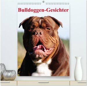 Buchcover Bulldoggen-Gesichter (hochwertiger Premium Wandkalender 2024 DIN A2 hoch), Kunstdruck in Hochglanz | Elisabeth Stanzer | EAN 9783383555558 | ISBN 3-383-55555-0 | ISBN 978-3-383-55555-8