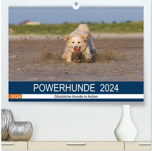 Buchcover POWERHUNDE 2024 (hochwertiger Premium Wandkalender 2024 DIN A2 quer), Kunstdruck in Hochglanz | Annett Mirsberger | EAN 9783383556029 | ISBN 3-383-55602-6 | ISBN 978-3-383-55602-9