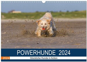 Buchcover POWERHUNDE 2024 (Wandkalender 2024 DIN A3 quer), CALVENDO Monatskalender | Annett Mirsberger | EAN 9783383556937 | ISBN 3-383-55693-X | ISBN 978-3-383-55693-7