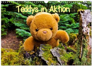 Buchcover Teddys in Aktion (Wandkalender 2024 DIN A3 quer), CALVENDO Monatskalender | Karin Sigwarth | EAN 9783383574085 | ISBN 3-383-57408-3 | ISBN 978-3-383-57408-5
